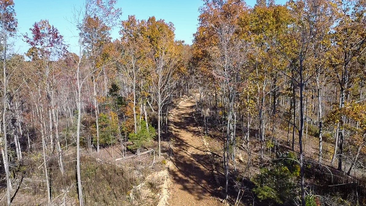 0 Fire Tower Road Centerville, TN 37033 - Photo 32 of 33 a view of a forest