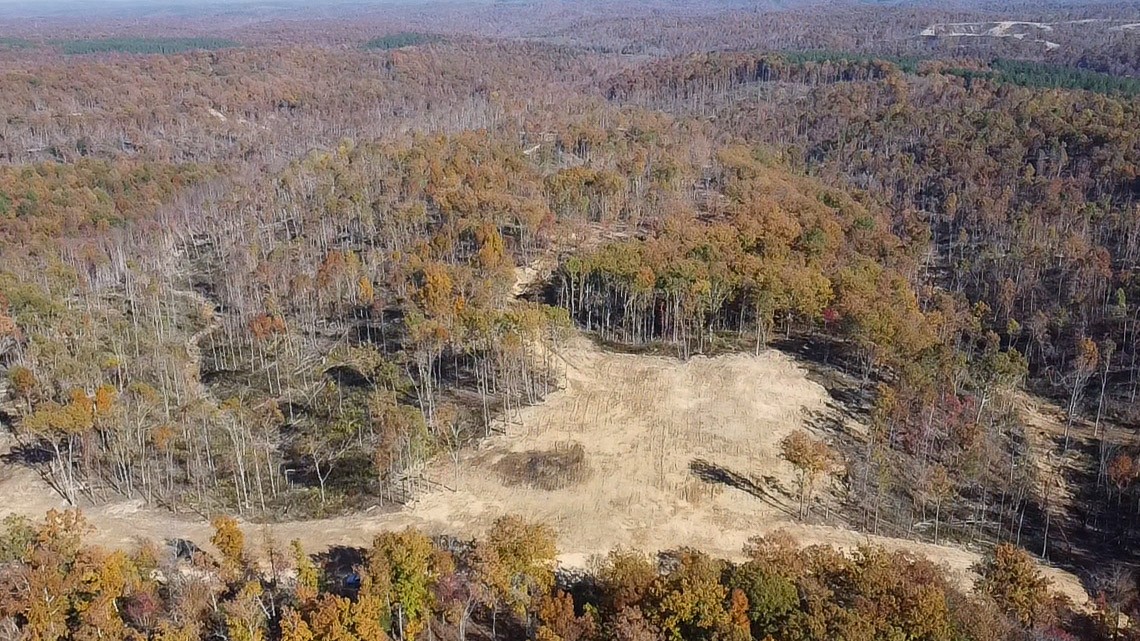 0 Fire Tower Road Centerville, TN 37033 - Photo 33 of 33 a view of a dry yard covered with trees