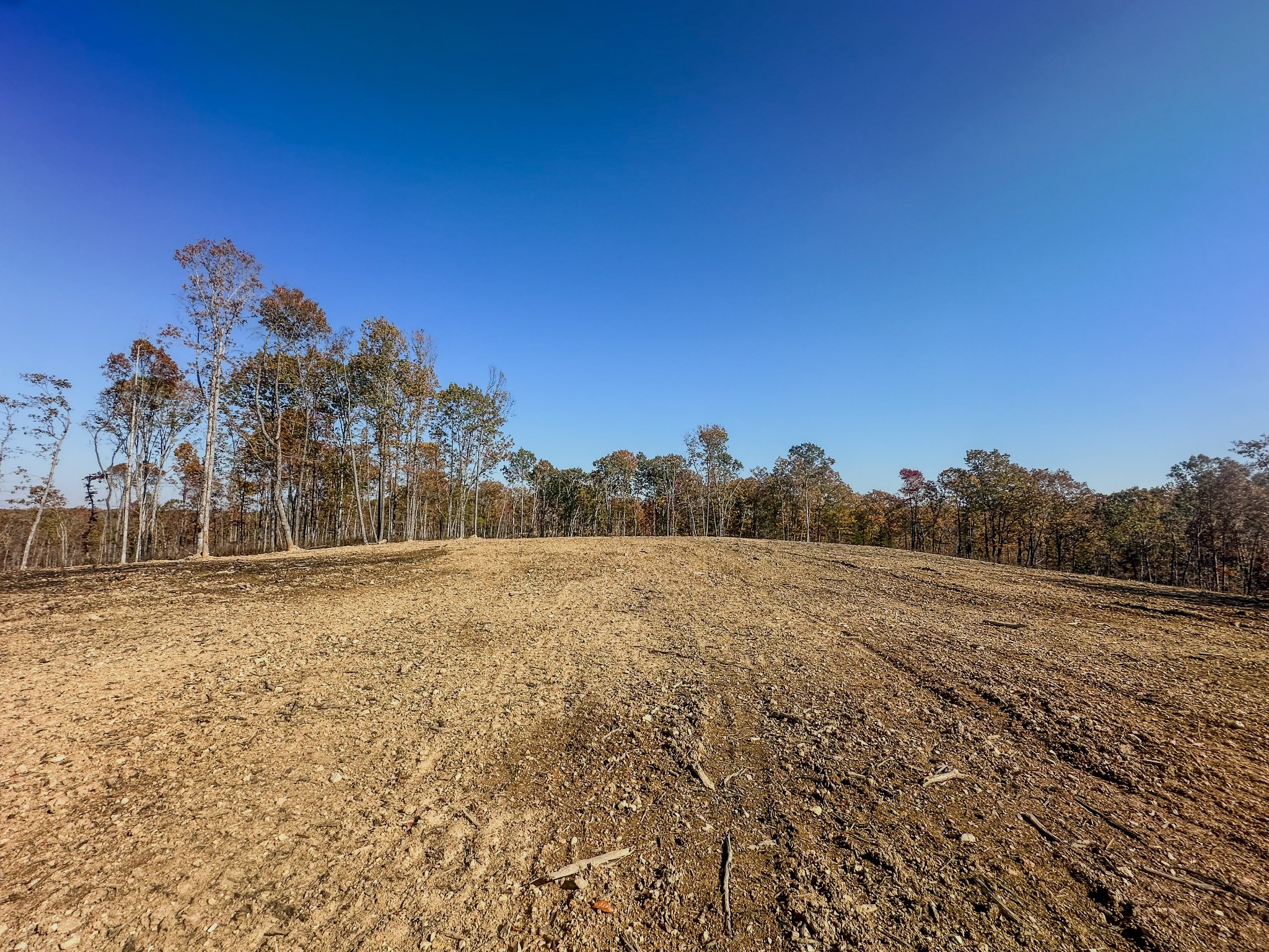 0 Fire Tower Road Centerville, TN 37033 - Photo 8 of 33 a view of a yard with a mountain