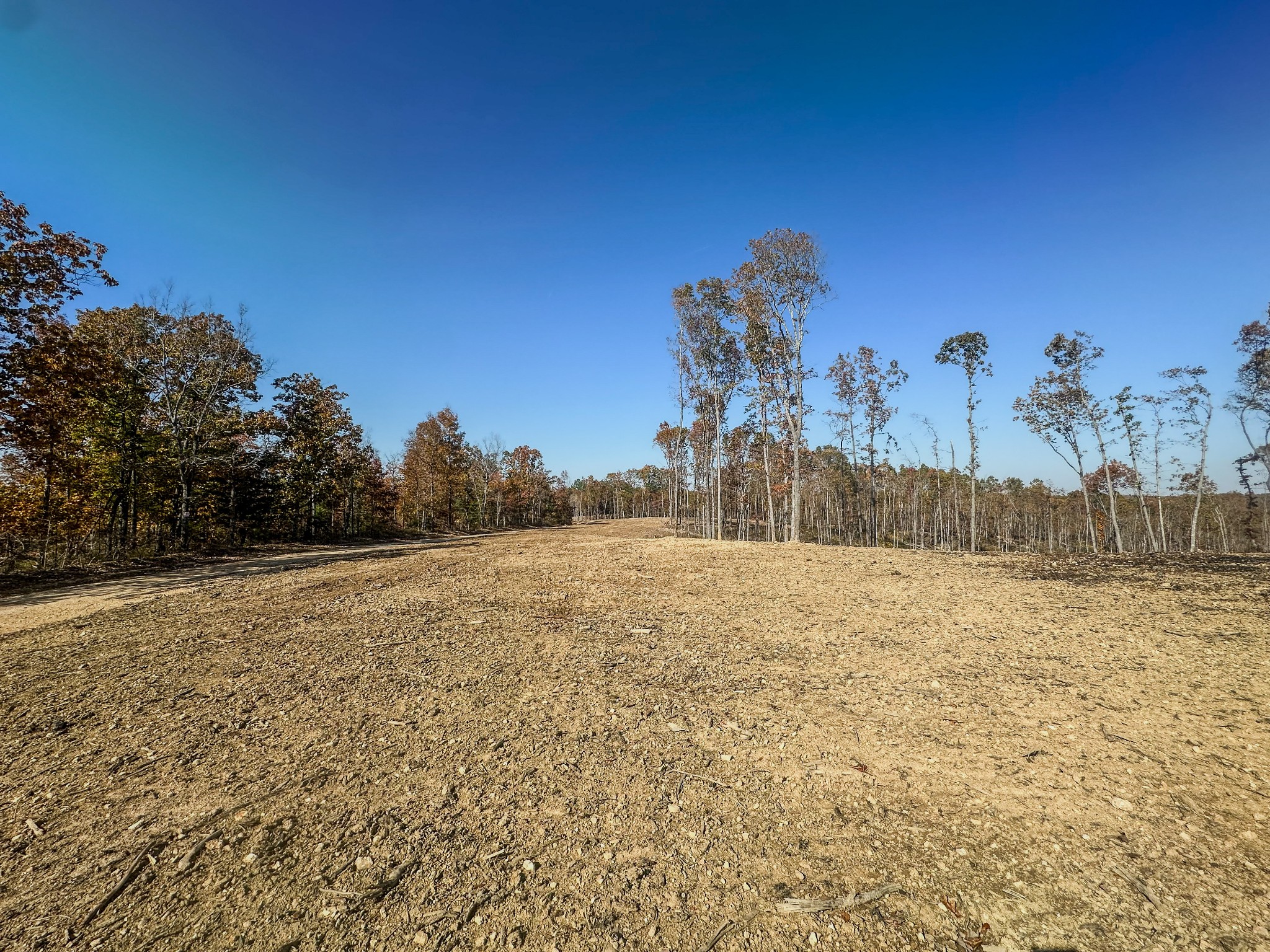 0 Fire Tower Road Centerville, TN 37033 - Photo 9 of 33