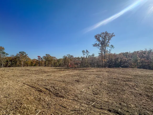 a view of a yard with a house