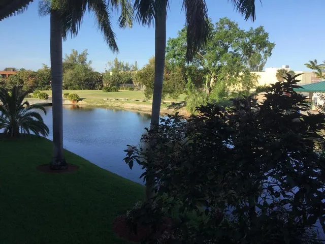 a view of a lake from a yard