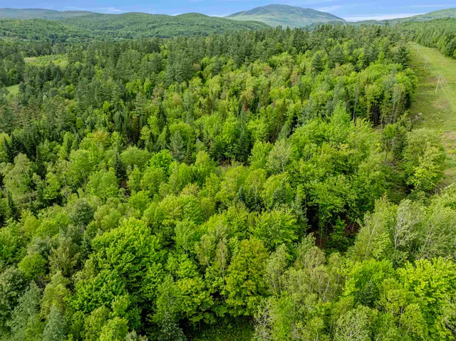 $79,000 | Lot 3 Off Us Route 3, North Stratford, NH 03590