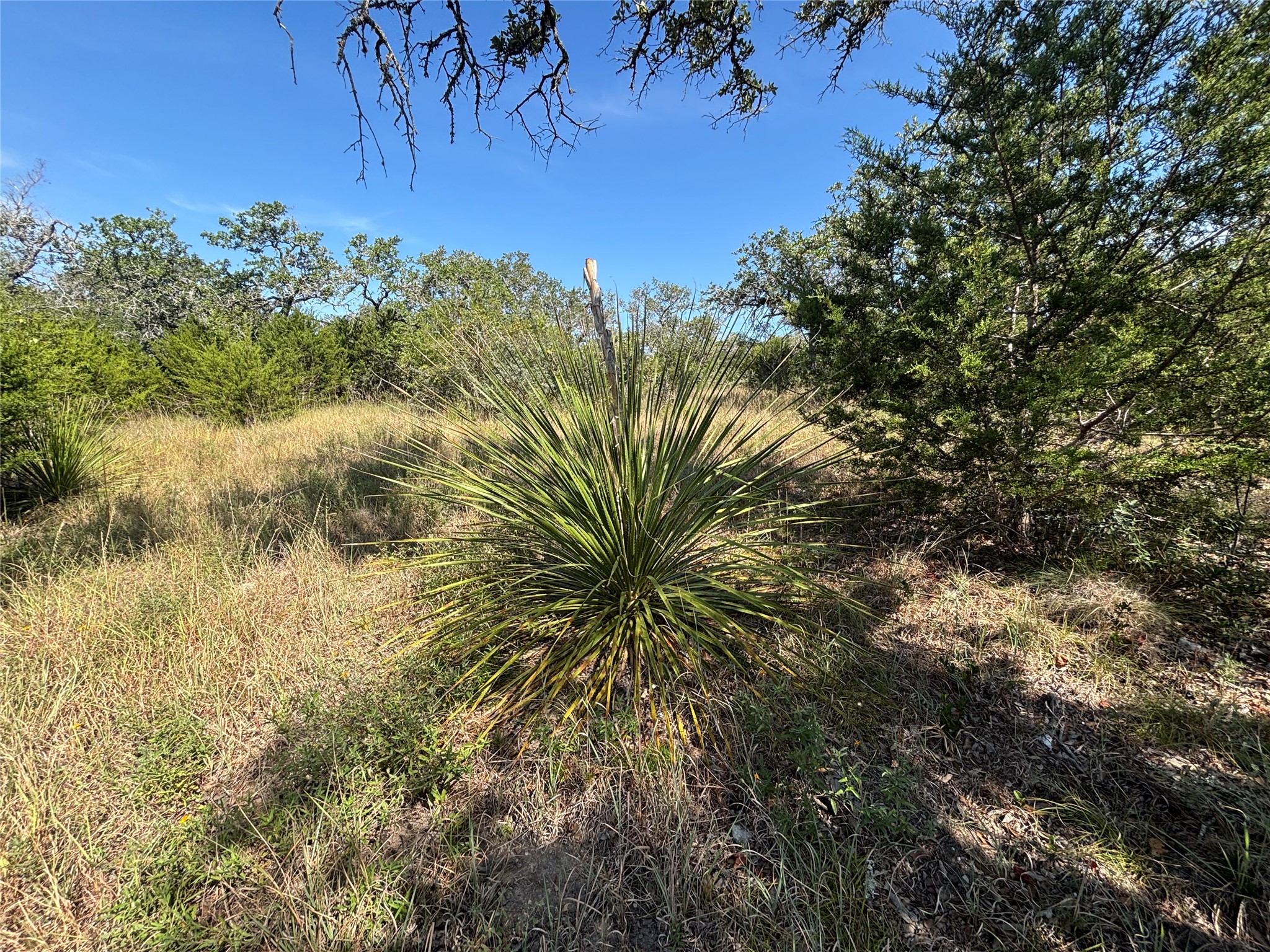 955 Upper Balcones Road Boerne, TX 78006 - Photo 9 of 9 Gallery Image 9