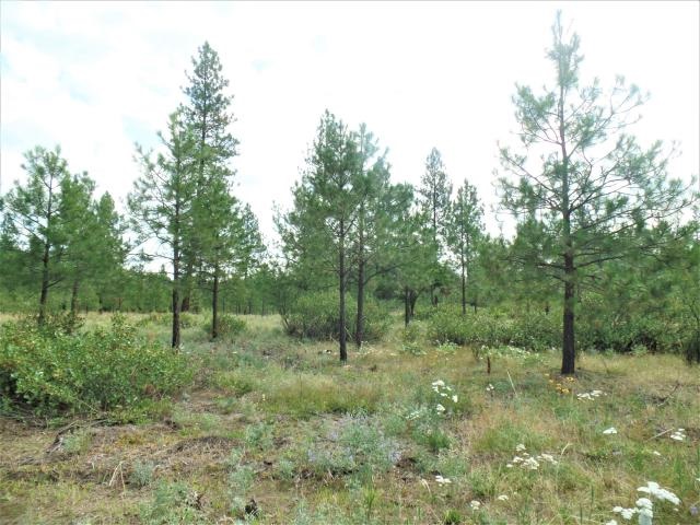 Lot 112 Old Kettle Road Kettle Falls, WA 99141 - Photo 1 of 13 Gallery Image 1