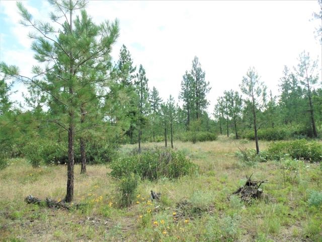 Lot 112 Old Kettle Road Kettle Falls, WA 99141 - Photo 2 of 13 Gallery Image 2