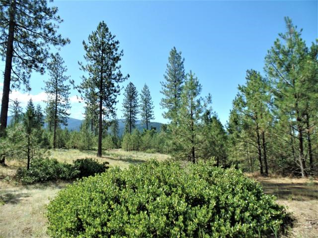 Lot 112 Old Kettle Road Kettle Falls, WA 99141 - Photo 11 of 13 Gallery Image 11