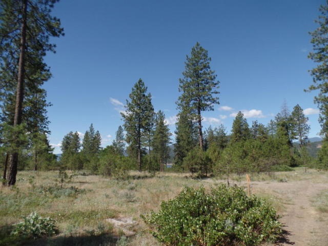 Lot 112 Old Kettle Road Kettle Falls, WA 99141 - Photo 12 of 13 Gallery Image 12