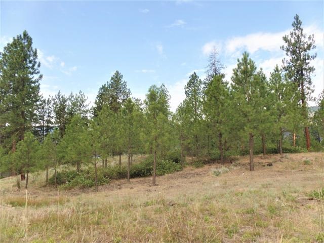 Lot 112 Old Kettle Road Kettle Falls, WA 99141 - Photo 3 of 13 Gallery Image 3