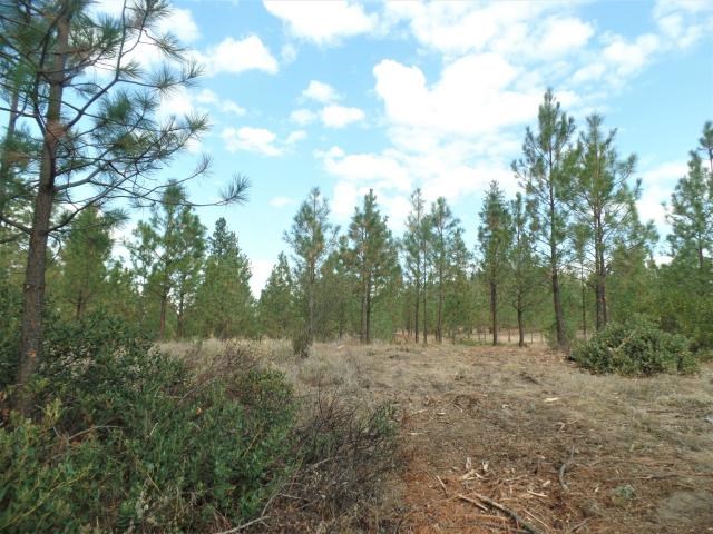 Lot 112 Old Kettle Road Kettle Falls, WA 99141 - Photo 4 of 13 Gallery Image 4