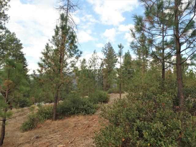 Lot 112 Old Kettle Road Kettle Falls, WA 99141 - Photo 5 of 13 Gallery Image 5