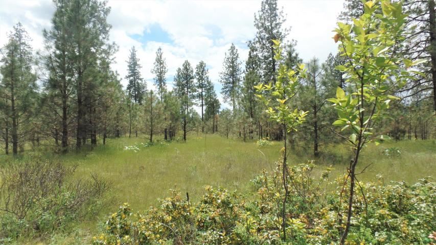 Lot 112 Old Kettle Road Kettle Falls, WA 99141 - Photo 6 of 13 Gallery Image 6