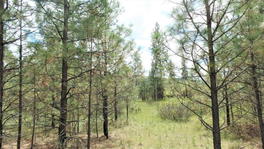 Lot 112 Old Kettle Road Kettle Falls, WA 99141 - Photo 7 of 13 Gallery Image 7
