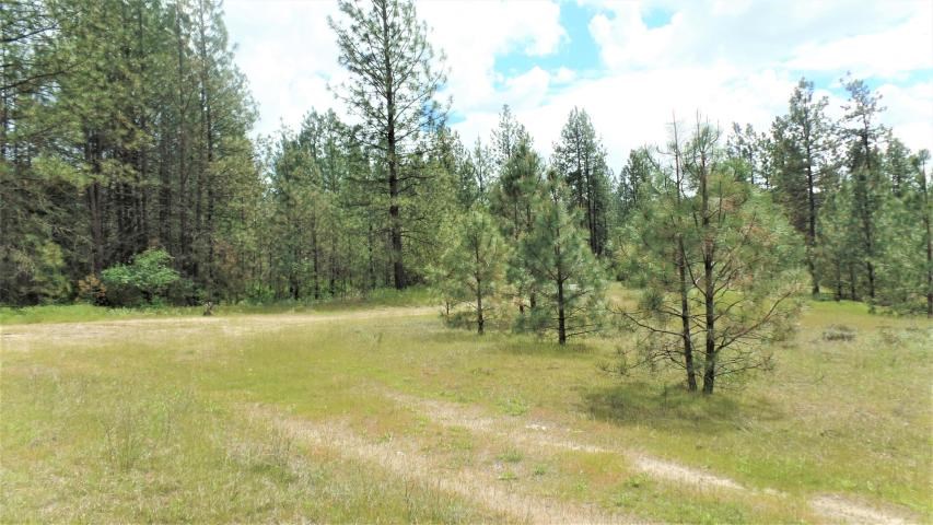 Lot 112 Old Kettle Road Kettle Falls, WA 99141 - Photo 8 of 13 Gallery Image 8