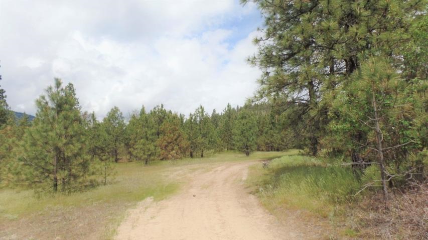 Lot 112 Old Kettle Road Kettle Falls, WA 99141 - Photo 9 of 13 Gallery Image 9
