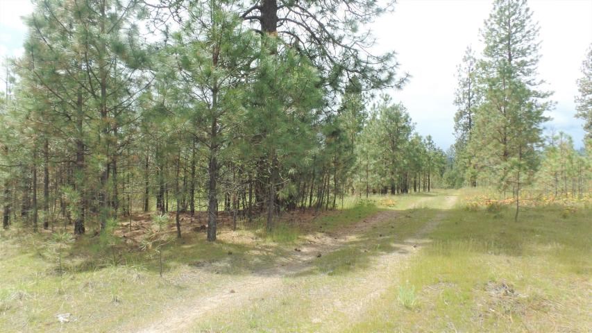 Lot 112 Old Kettle Road Kettle Falls, WA 99141 - Photo 10 of 13 Gallery Image 10