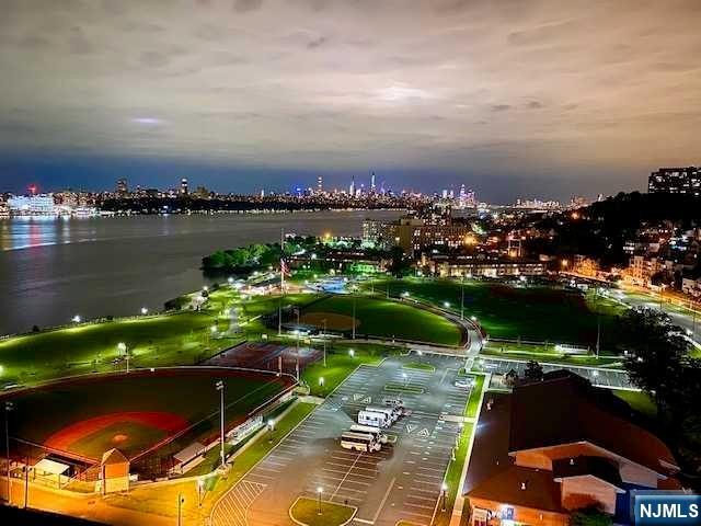 a view of a lake with a city