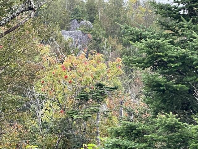 M4-l19-1 Dixie Road Lubec, ME 04652 - Photo 4 of 4 IMG_3089