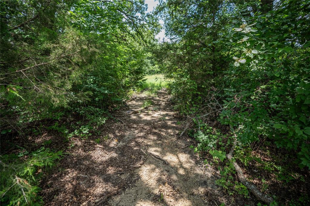 Tbd Tbd Cr-129, Unit 5 ACRES Terrell, TX 75161 - Photo 2 of 13