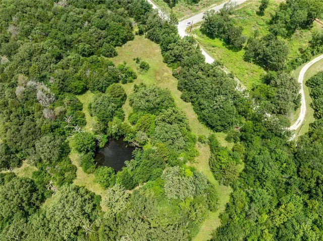 an aerial view of a house with a yard and large trees