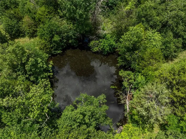a view of a big yard and large trees