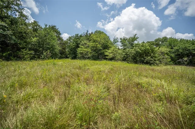 a view of swimming pool from a yard
