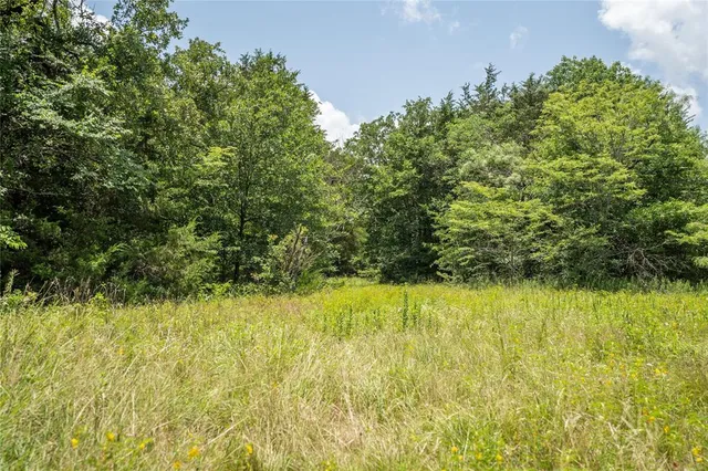 a view of a yard with a tree