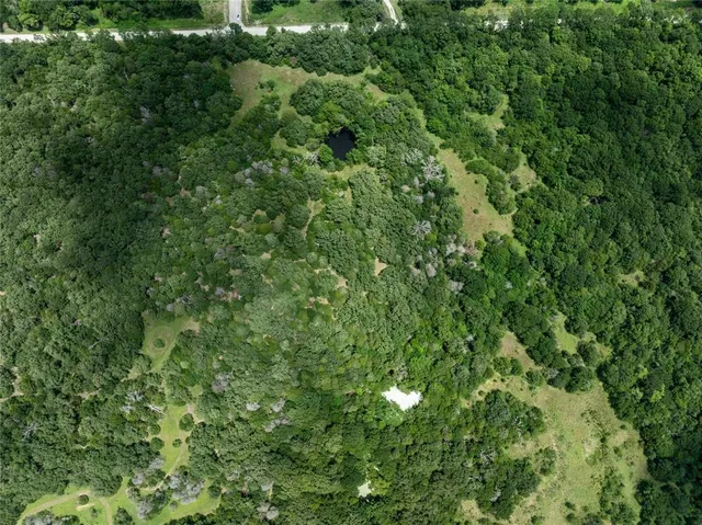 a view of a small yard