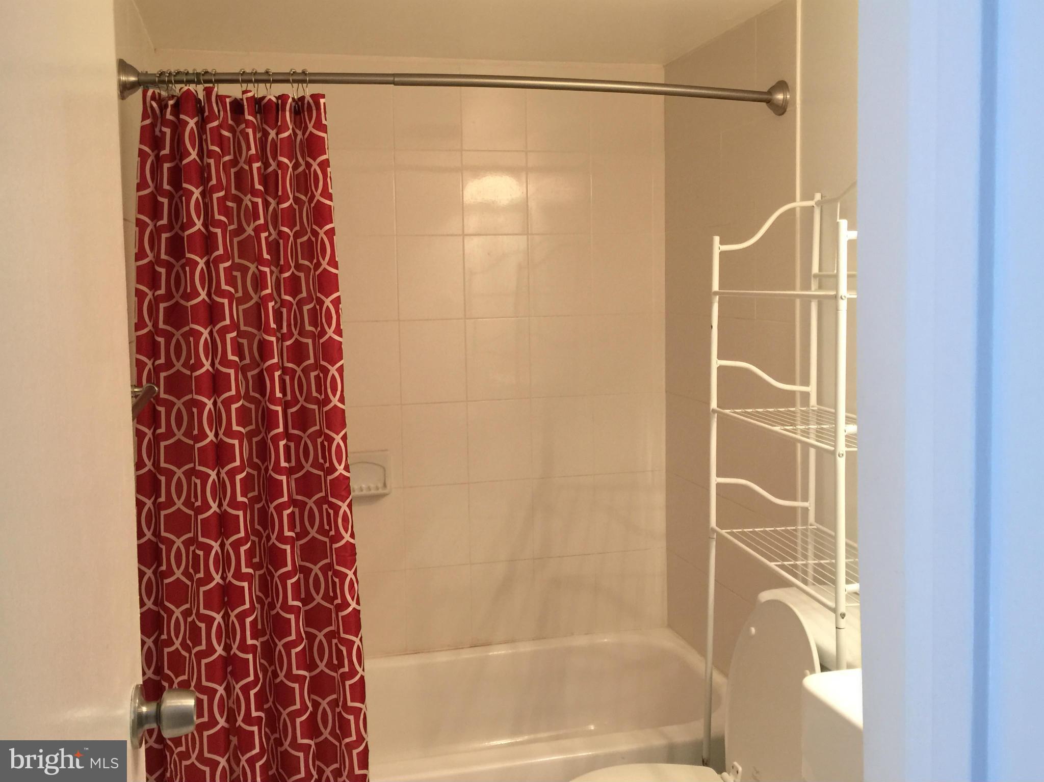 3942 Bel Pre Road, Unit 1 Silver Spring, MD 20906 - Photo 9 of 20 Bath (Master) with tub