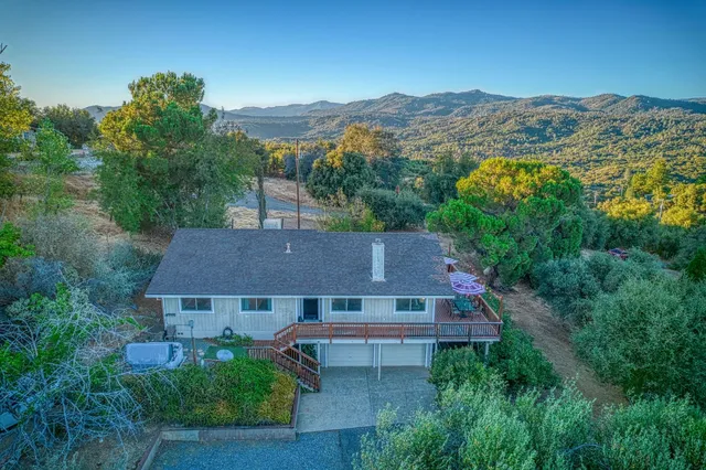 a view of a forest with trees in the background