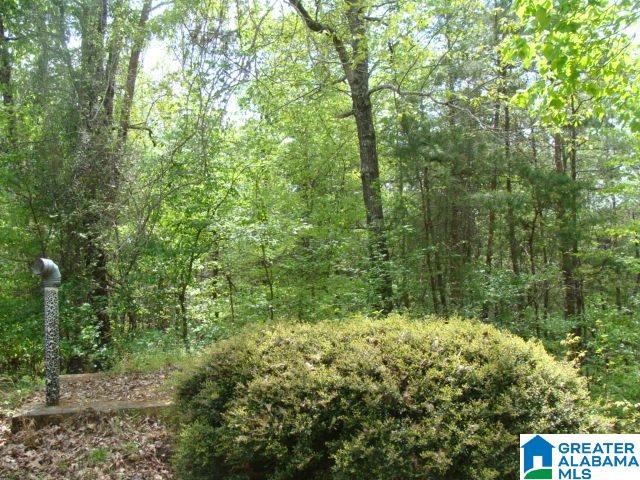 13556 Lock 17 Road Adger, AL 35006 - Photo 30 of 39
