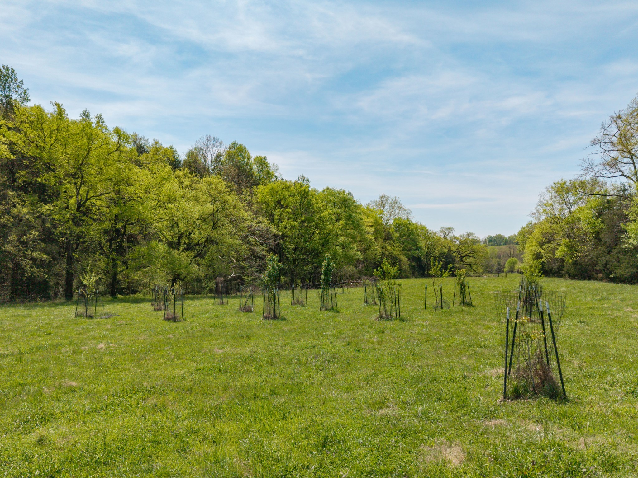 305 Ingram Road Pulaski, TN 38478 - Photo 13 of 29
