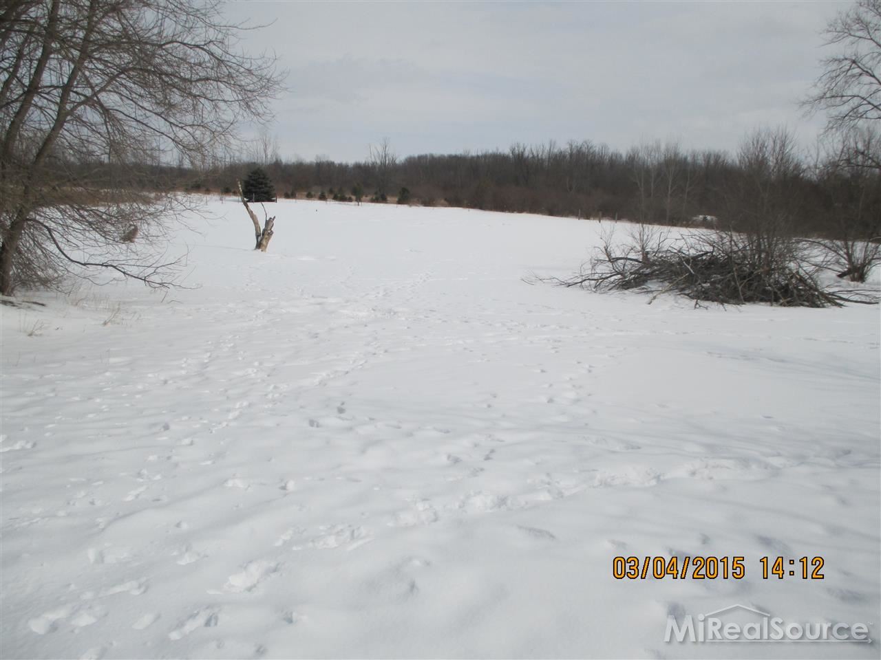 8112 Willits Road Fostoria, MI 48435 - Photo 10 of 24