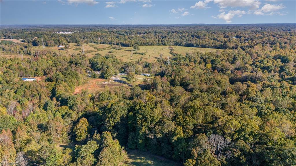 283 Legion Hut Road Mocksville, NC 27028 - Photo 10 of 13 Gallery Image 10