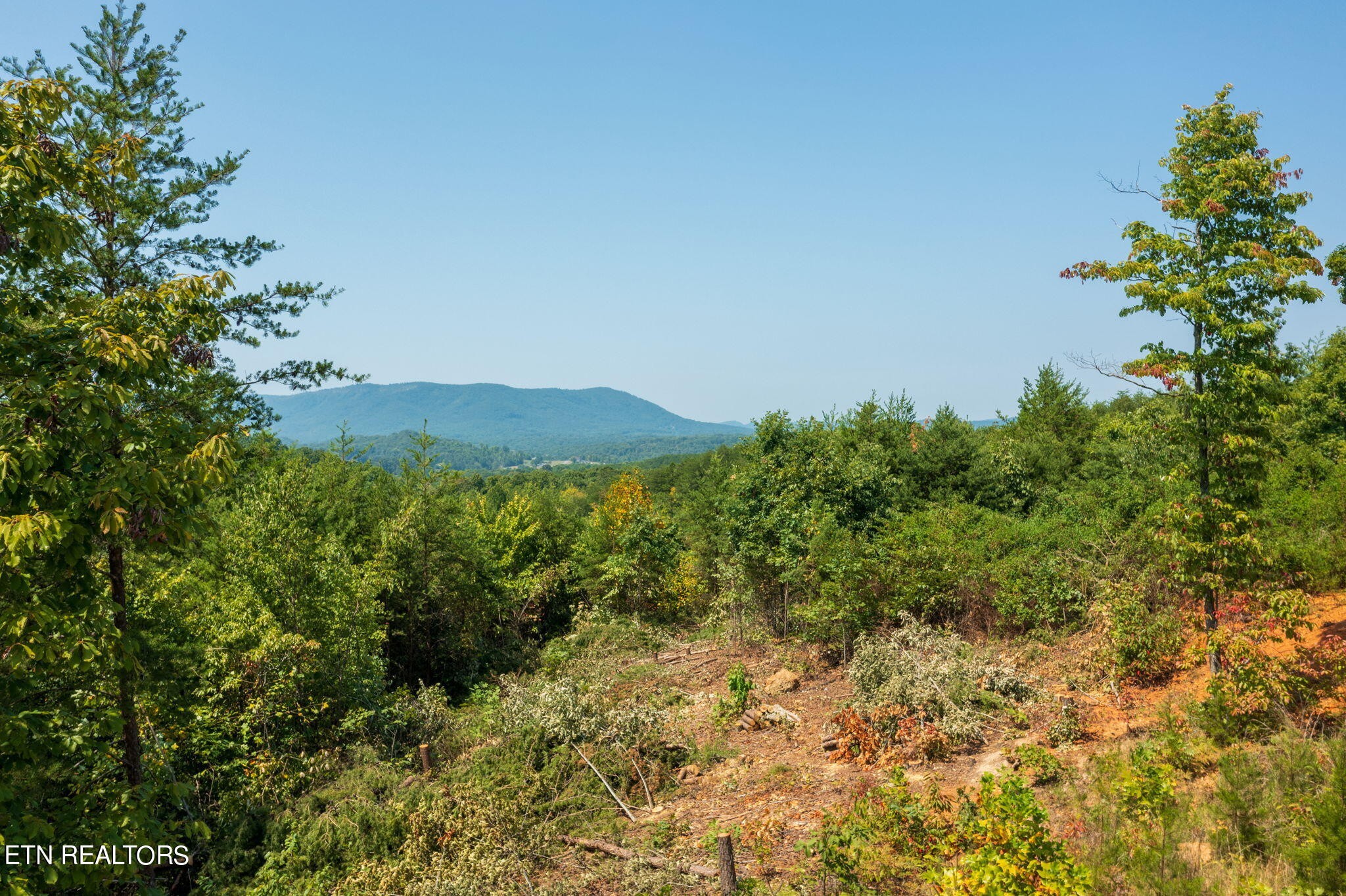 600 Beatys Chapel Road Tellico Plains, TN 37385 - Photo 3 of 36 Gallery Image 3