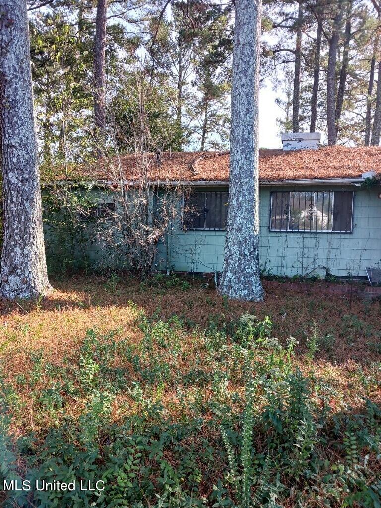 935 Raymond Road Jackson, MS 39204 - Photo 20 of 26 imagejpeg_0(13)