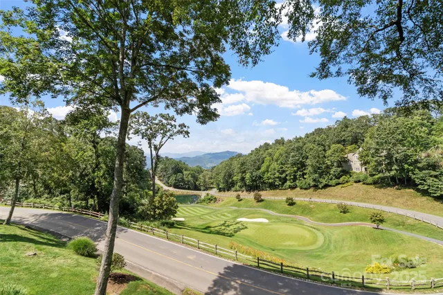 a view of a swimming pool with a yard