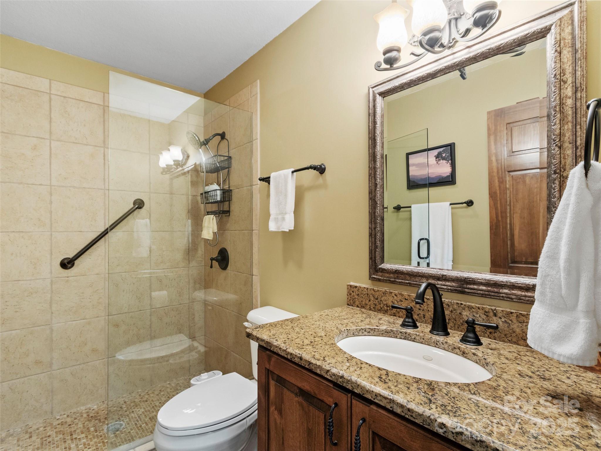 91 Brandy Run Road Burnsville, NC 28714 - Photo 26 of 48 a bathroom with a granite countertop sink a toilet a mirror a vanity and shower