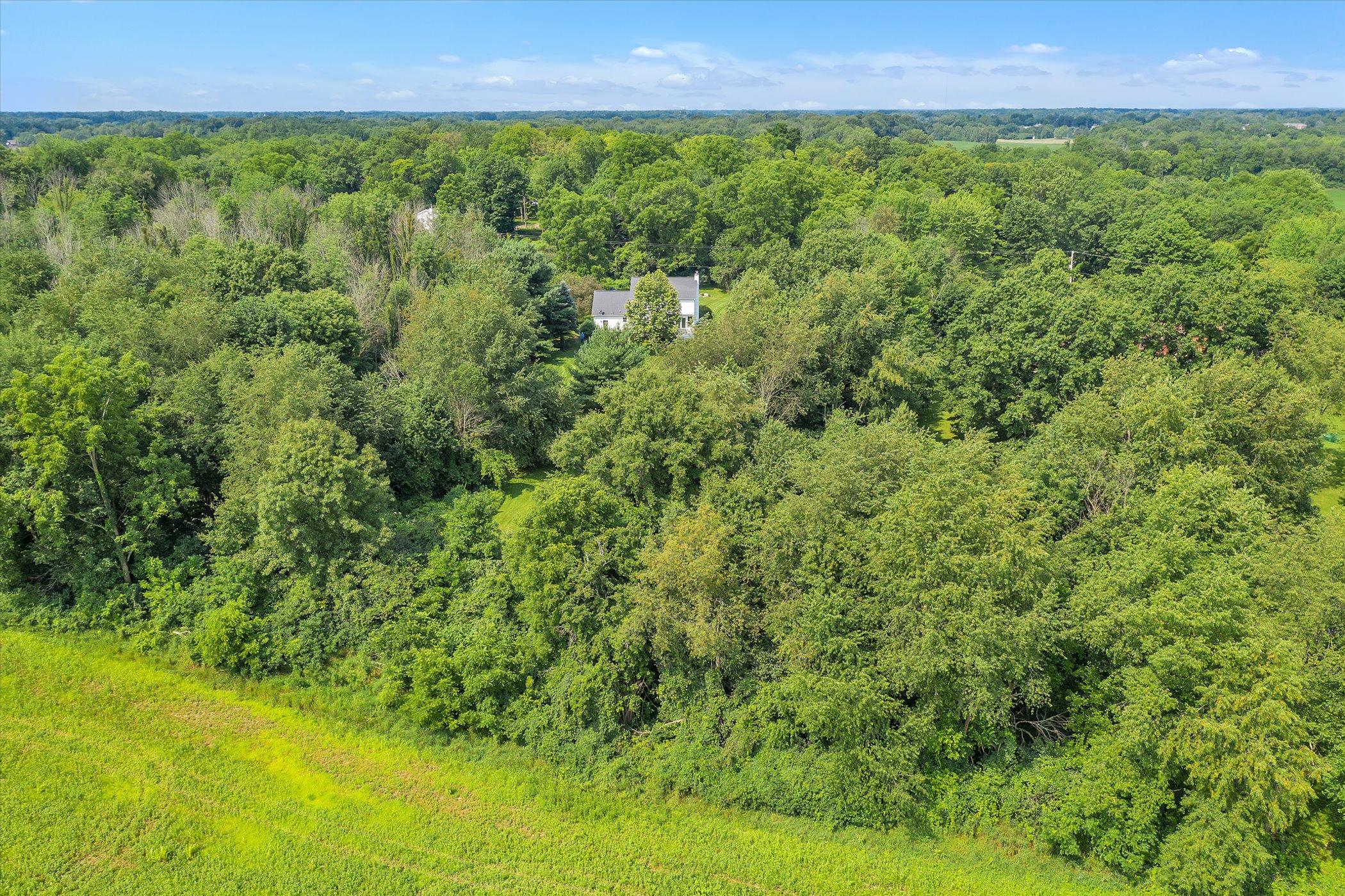3701 Gale Road Eaton Rapids, MI 48827 - Photo 50 of 65 50-3701-Gale-Rd-WindowStill-Real-Estate-
