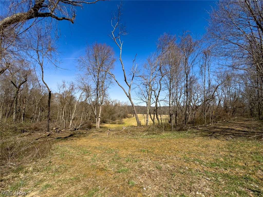 0 Lonesome Road Thornville, OH 43076 - Photo 21 of 31