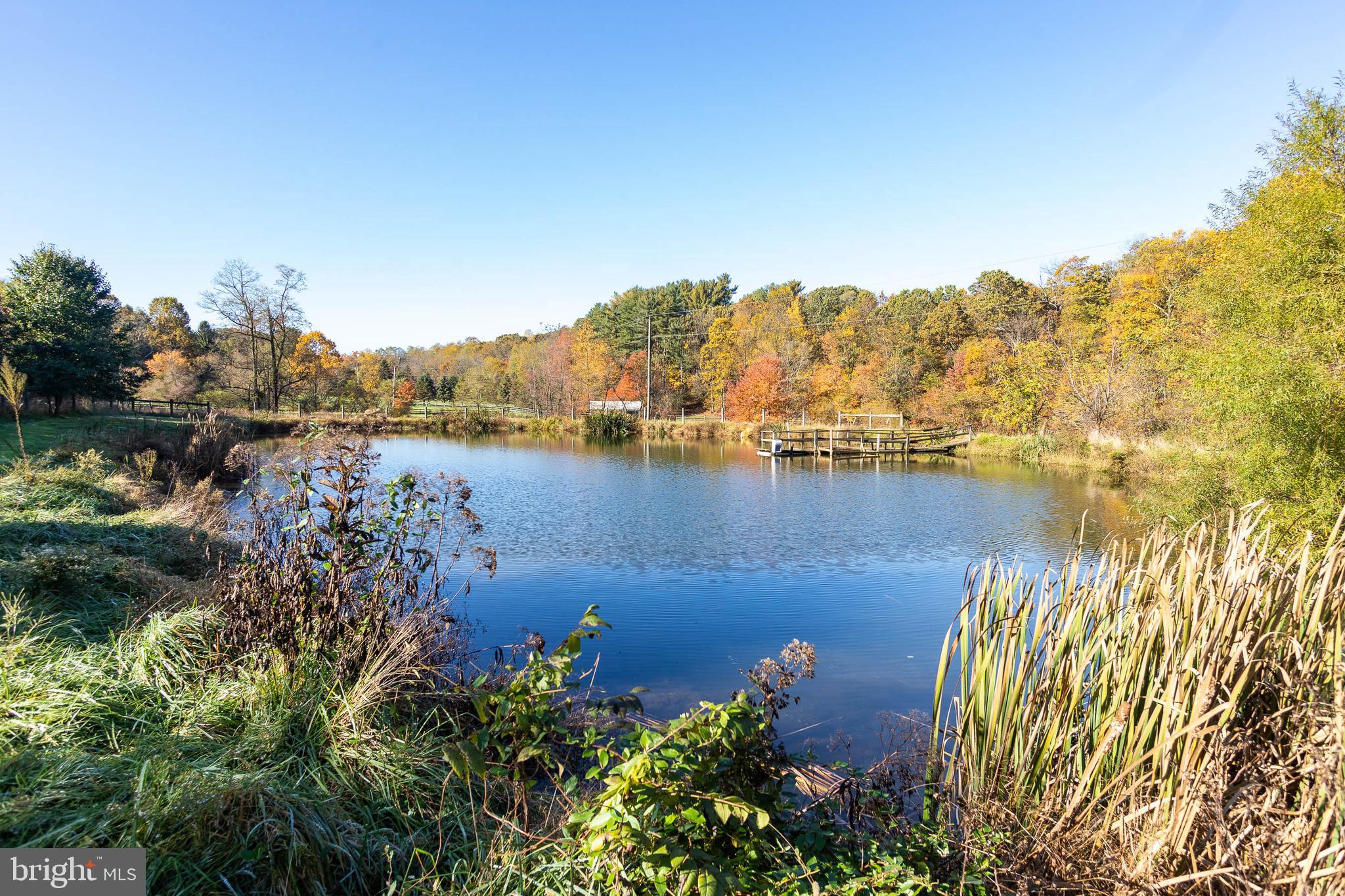 4248 Rupp Road Manchester, MD 21102 - Photo 44 of 53 Pond Ready For Fishing/Canoeing