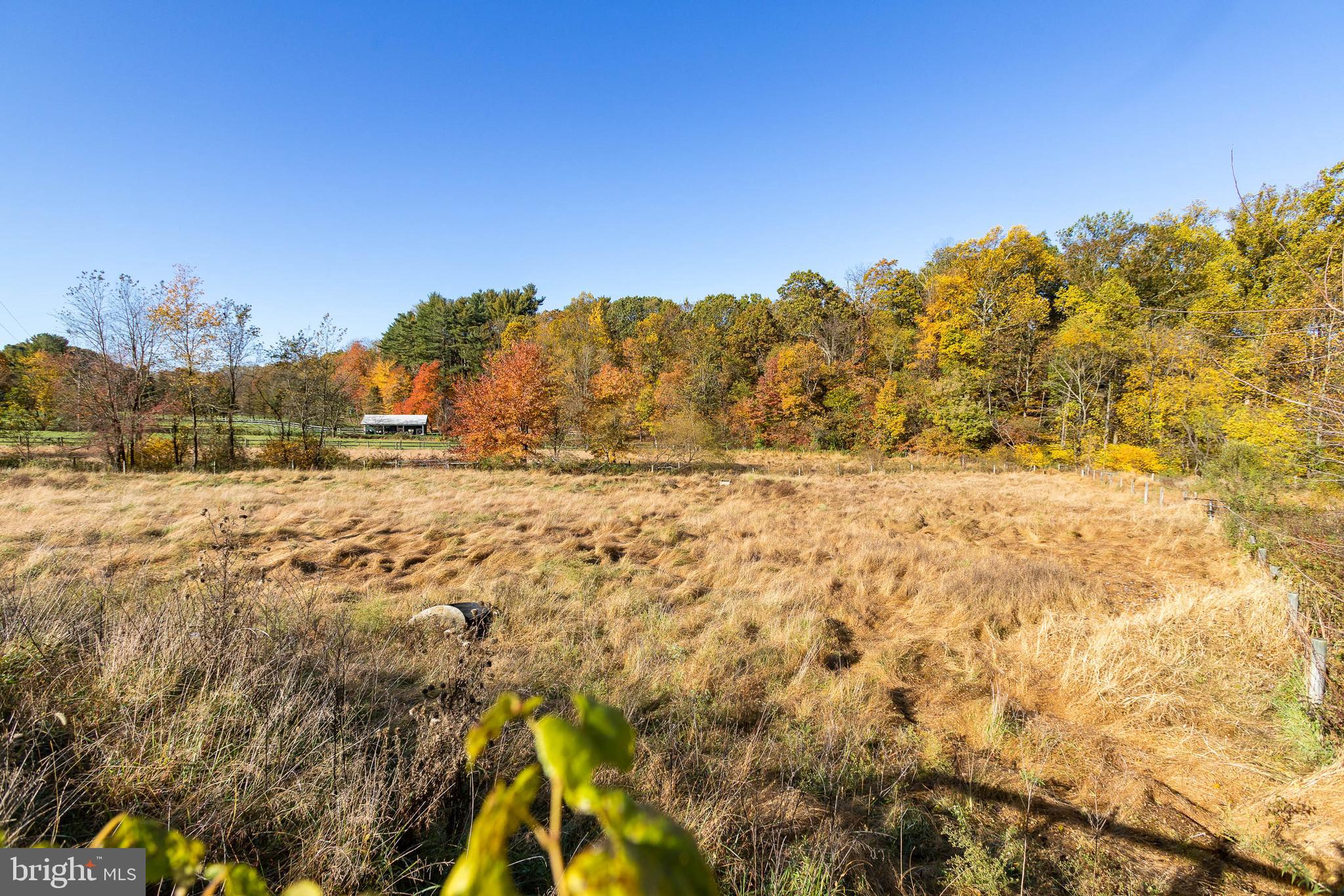 4248 Rupp Road Manchester, MD 21102 - Photo 47 of 53 One of Several Paddocks/Fields