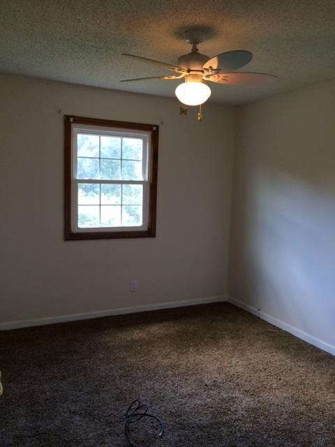 8952 Easy St N Loop Robards, KY 42452 - Photo 8 of 15 Gallery Image 8
