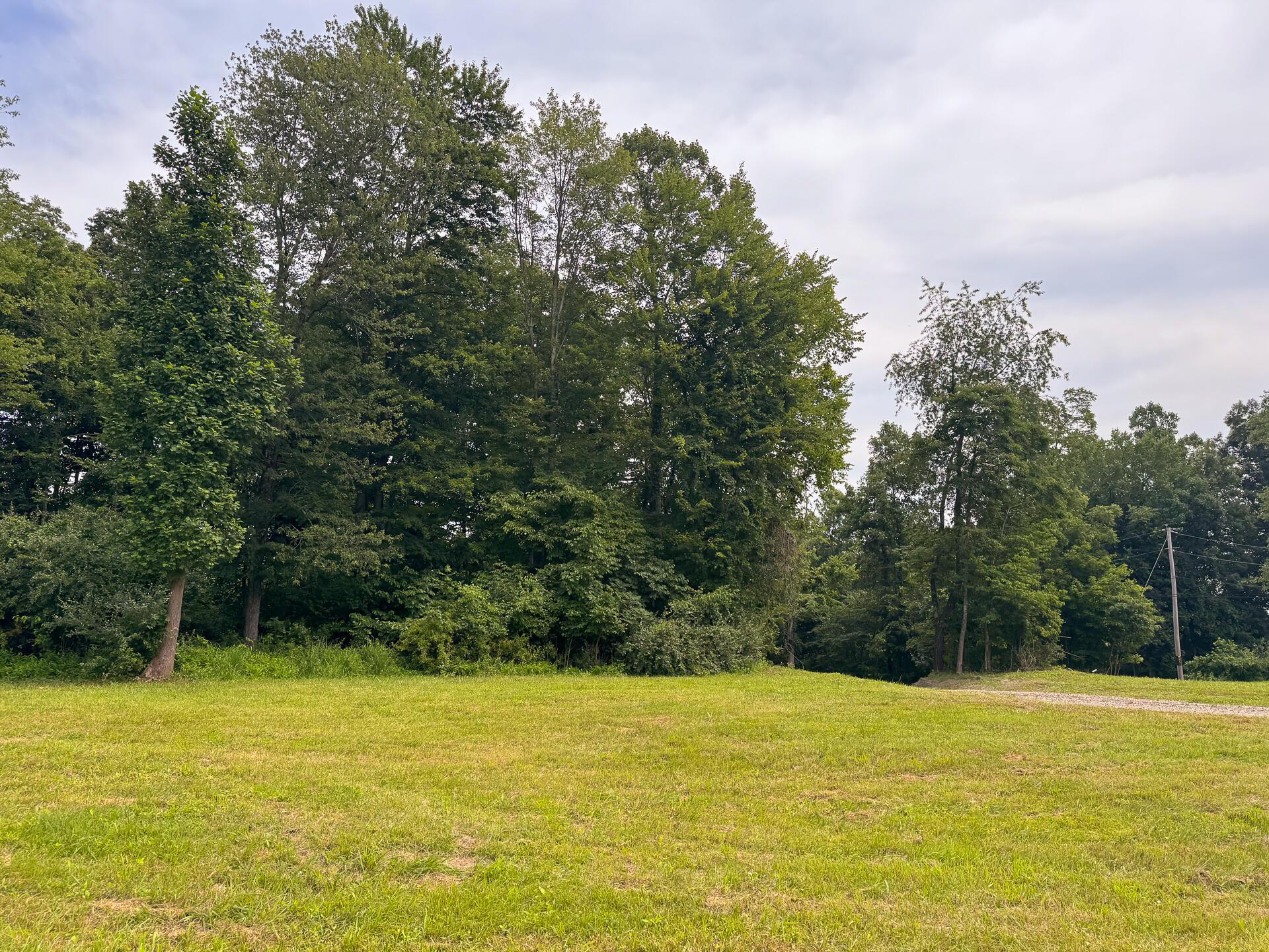 16487 Flint Ridge Road, Unit LOT L WOODS FLINT RIDGE) Newark, OH 43056 - Photo 5 of 39 CT-5