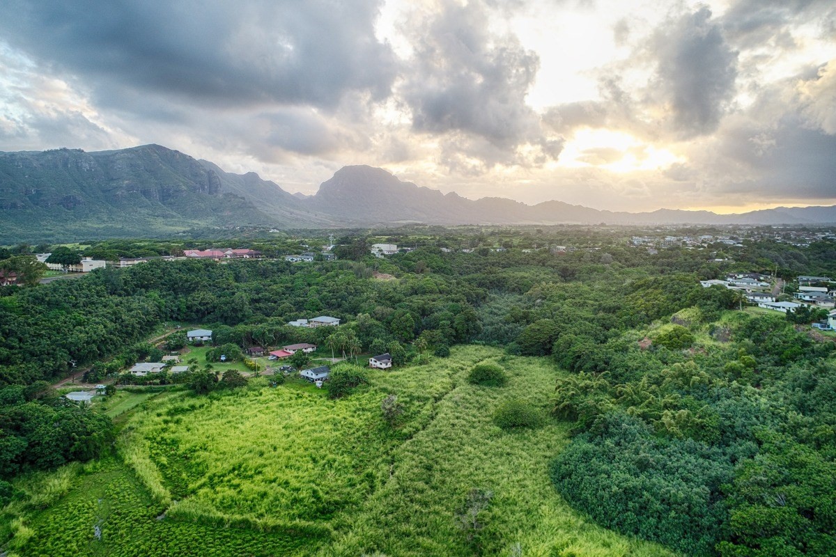 Kahumoku Road, Unit 3 Lihue, HI 96766 - Photo 13 of 27 a view of a green field with lots of trees