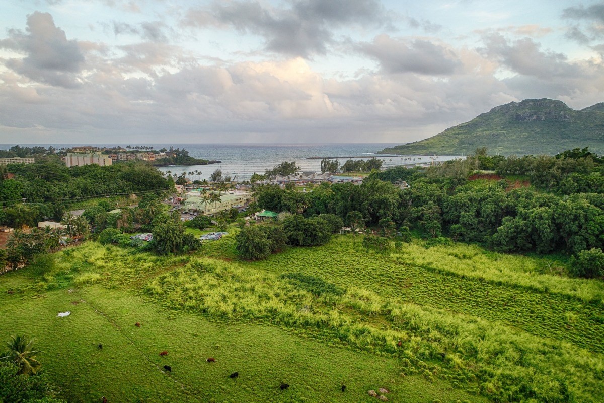 Kahumoku Road, Unit 3 Lihue, HI 96766 - Photo 14 of 27 a view of a garden with an buildings