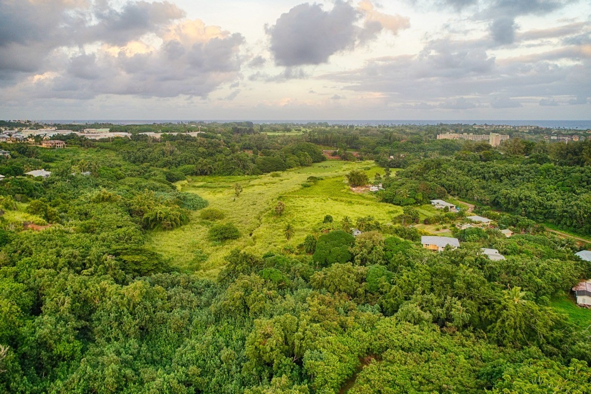 Kahumoku Road, Unit 3 Lihue, HI 96766 - Photo 15 of 27 a view of a lake with houses in back