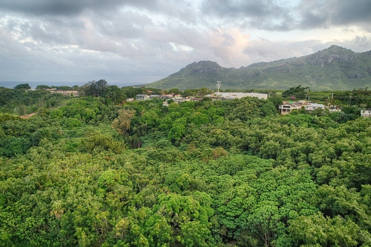 Kahumoku Road, Unit 3 Lihue, HI 96766 - Photo 17 of 27 a view of a mountain in the distance in a field