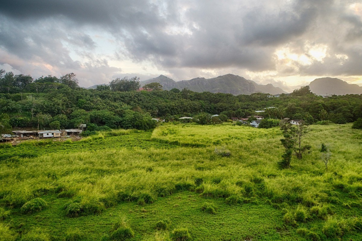 Kahumoku Road, Unit 3 Lihue, HI 96766 - Photo 18 of 27 a view of an outdoor space and a yard