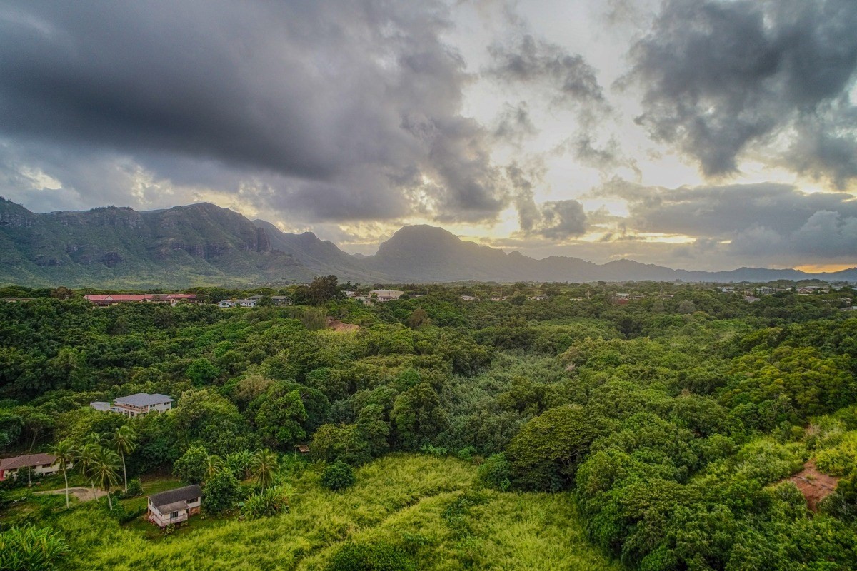 Kahumoku Road, Unit 3 Lihue, HI 96766 - Photo 20 of 27 a view of a city with lush green forest